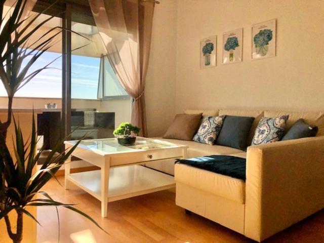 Gatu Premium Atico Parra, Parking, Piscina Comun, Terraza, Wifi , " Preferente Mayores De 25 Anos Y Familias " El Puerto de Santa Maria Ngoại thất bức ảnh